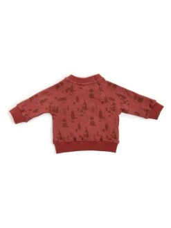 Moulin Roty -Moulin Roty moulin roty sweatshirt elliot 1