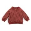 Moulin Roty Sweatshirt "Elliot" -Moulin Roty moulin roty sweatshirt elliot
