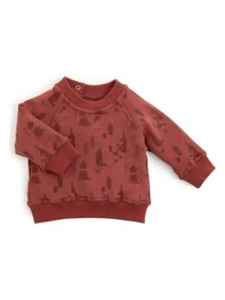 Moulin Roty Sweatshirt "Elliot" -Moulin Roty moulin roty sweatshirt elliot 2